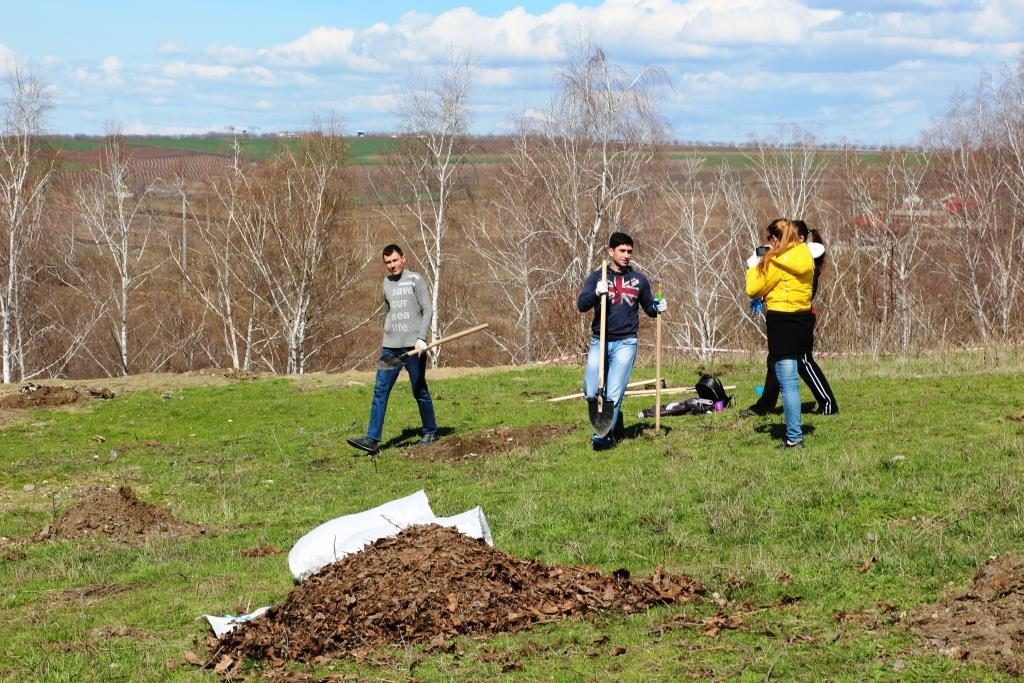 Plantăm Fapte bune în Moldova - Tohatin, 25 martie 2017. Foto: Ecopresa.md