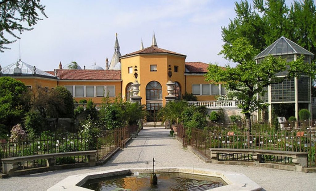 Grădina botanică universitară din Padova, Italia