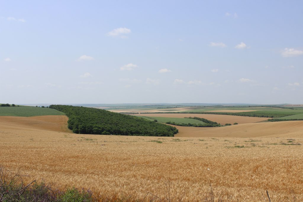 Peisaj agricol în sudul R. Moldova. Foto: Elena Scobioală