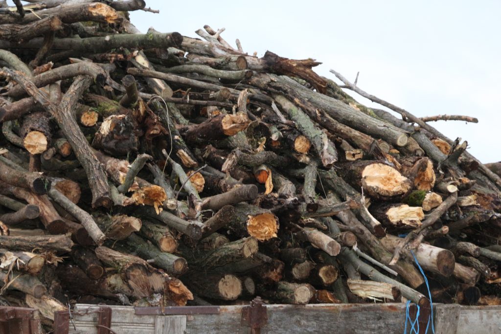 Biomasa nu înseamnă tăierea pădurilor, dar folosirea resturilor agricole, spune Iryna Stavchuk, Ucraina