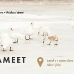 Instagramerii își dau întâlnire pe Lacul Ghidighici