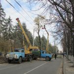Conferinţă de presă: „Defrișarea masivă a arborilor în orașul Chișinău”