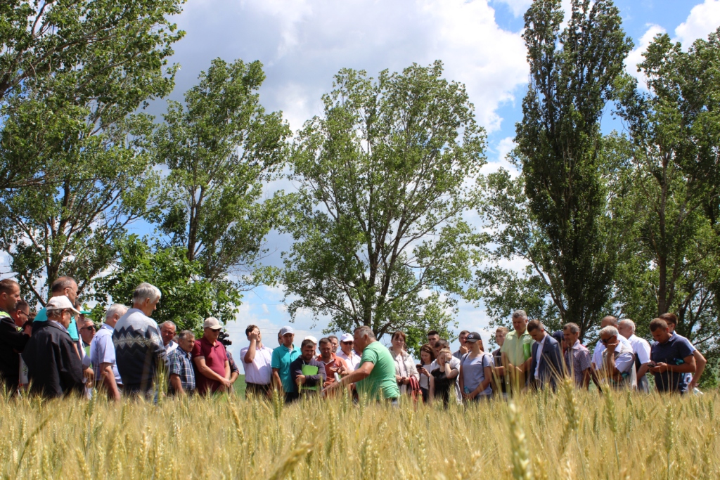  (foto) La Rediul de Sus, 65 de agricultori au apreciat sistemul conservativ de agricultură