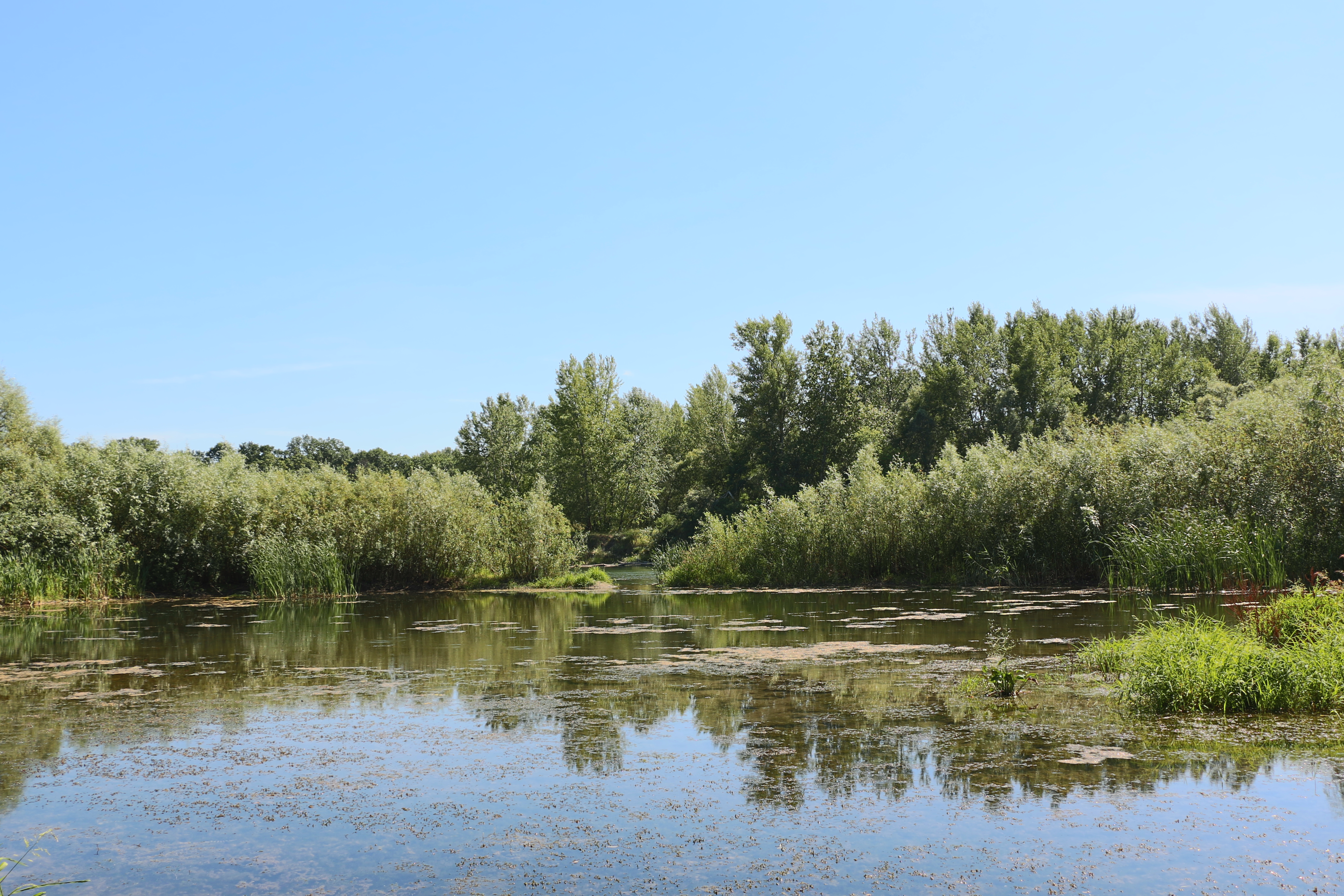 Apele Moldovei: Nivelul apei în Prut creşte, dar riscuri de inundații nu sunt