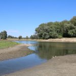 Deficitul de apă în râuri. Experții arată spre schimbările climatice