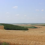 Peisajele Moldovei au nevoie de conservare și protecție