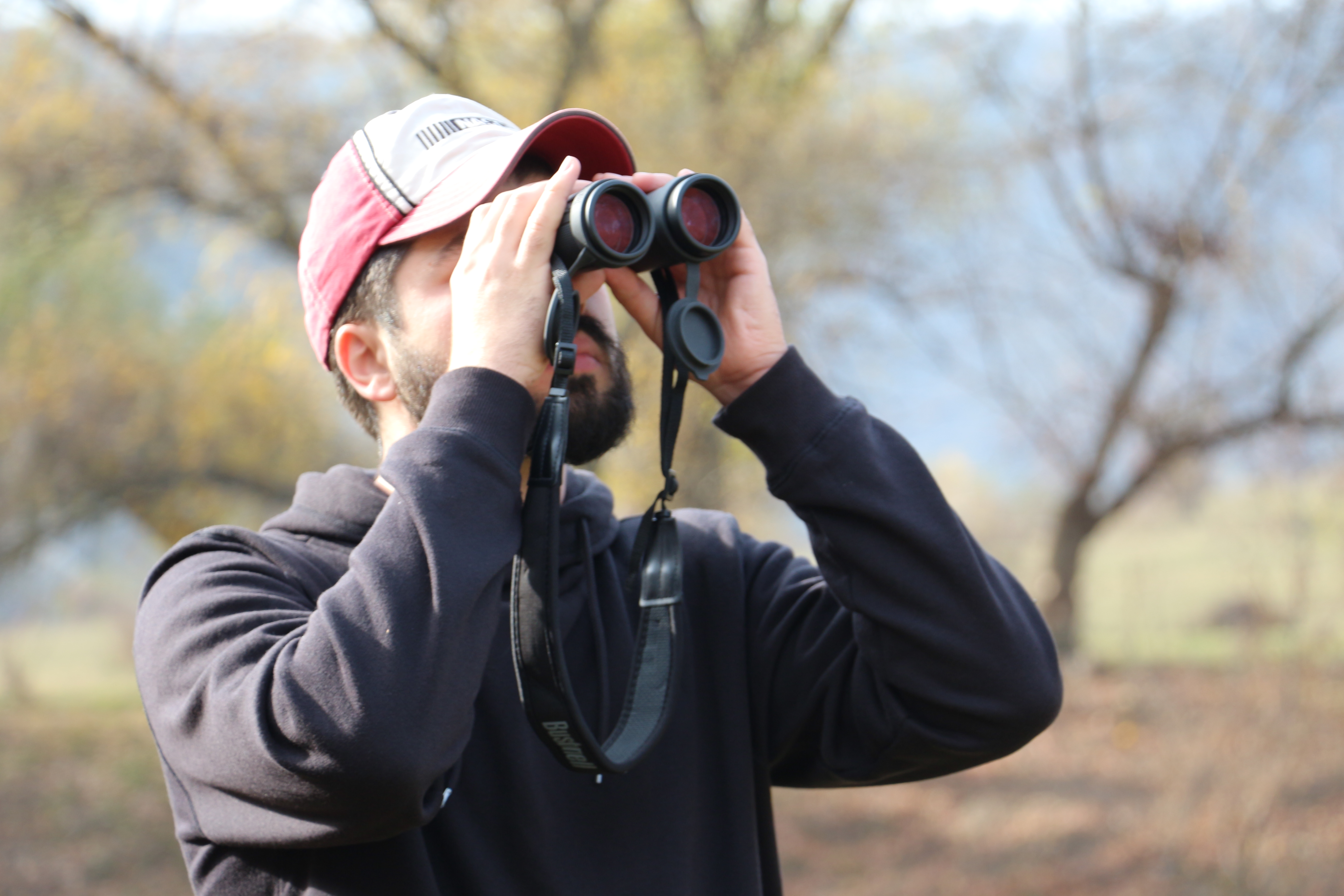  Cinci pași prin care să te pregătești pentru o activitate de observat păsări