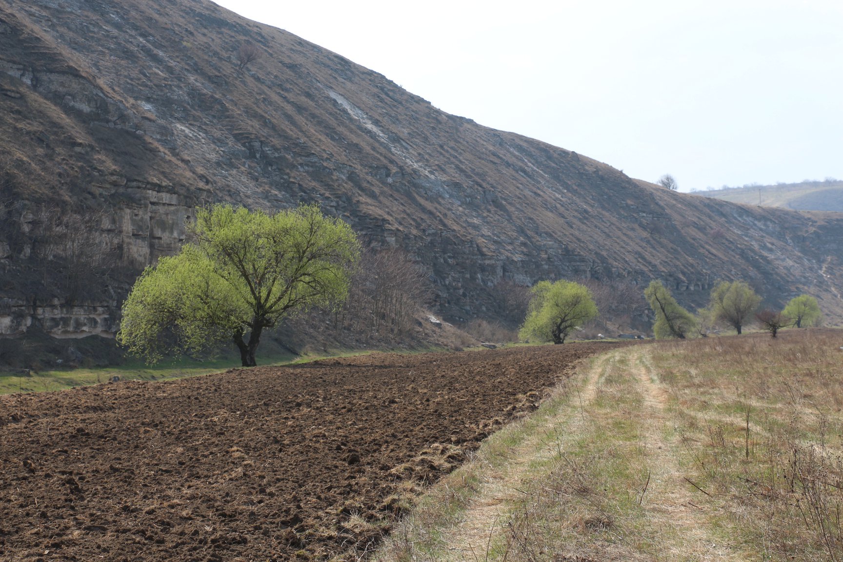  Soluția anti-secetă practicată de tot mai mulți fermieri din România