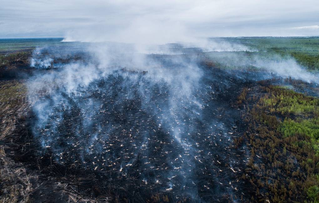  Pădurile din Siberia sunt în flăcări. Incendiile pot accelera încălzirea globală