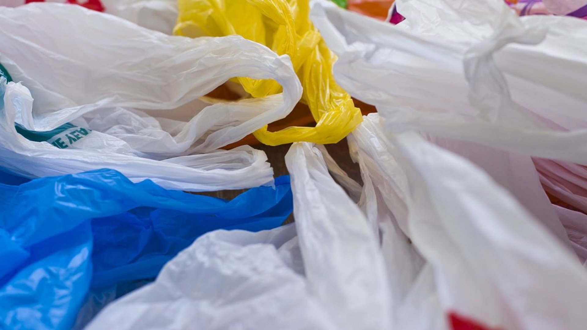  Cinci grame de plastic ajung săptămânal în organismul fiecărui locuitor al Planetei. Cantitatea „depozitată” în oceane a ajuns la circa 150 mil. tone