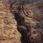 VIDEO/ Imagini dezolante în Parcul Național Orhei. Cioturi și câte un copac pe o rază de câțiva metri