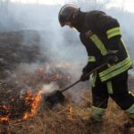 Ce amendă riscă persoanele care dau foc la frunze, miriște sau deșeuri menajere
