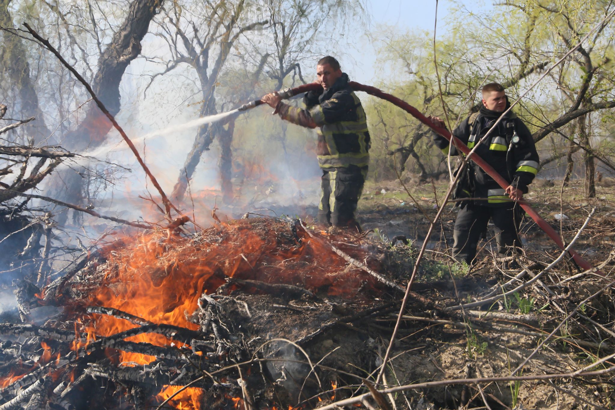  VIDEO/ Chișinău: Incendiu de vegetație în apropierea unei păduri
