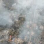 Creştere a nivelului de radioactivitate în Ucraina din cauza unui incendiu de pădure în apropiere de Cernobâl