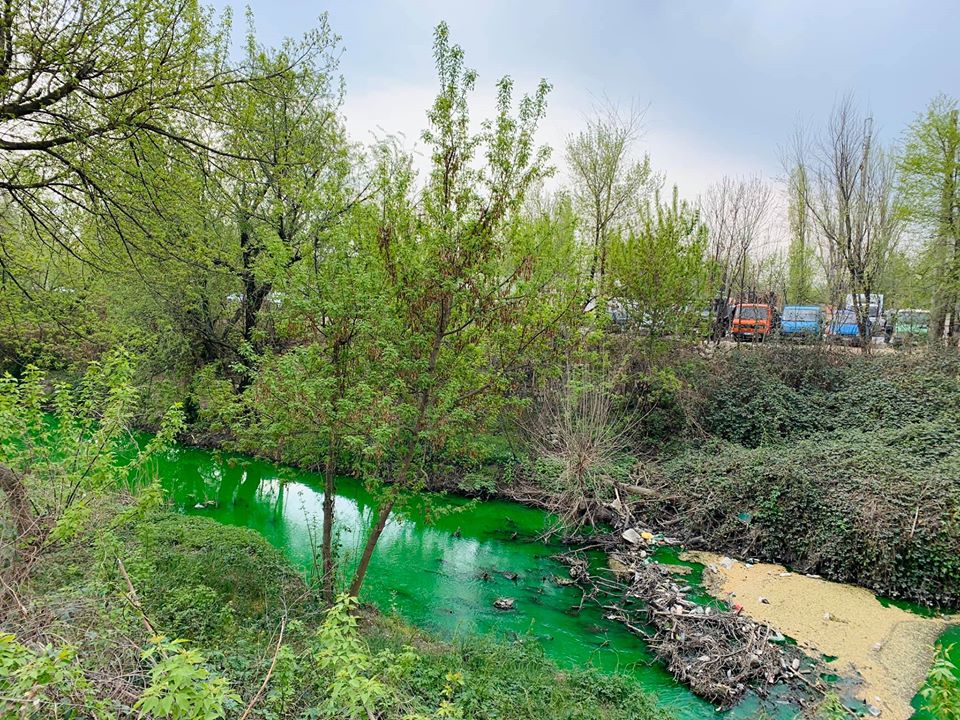  Agenția de Mediu a prelevat probe pentru a stabili dacă substanța de culoare verde devărsată în râul Bâc este toxică pentru mediu