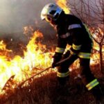 VIDEO/ Au ars peste 130 hectare de teren. Incendii de vegetație în mai multe raioane ale țării