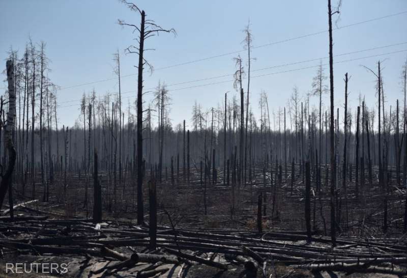  Incendiile de pădure la Cernobîl continuă de mai mult de o săptămână