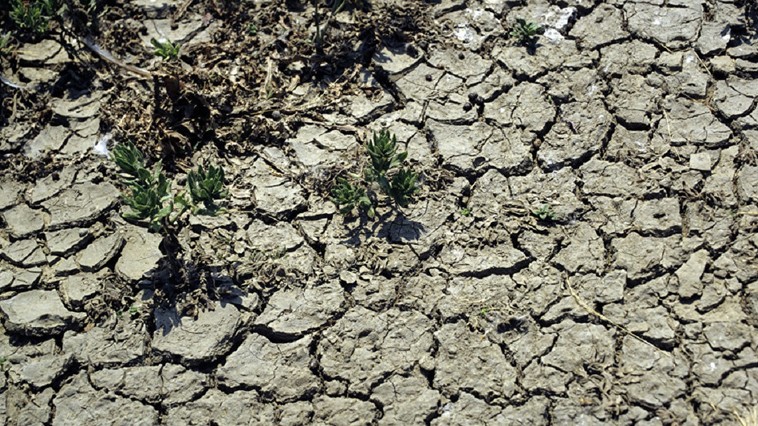  Comisia Europeană: „Pare să fie cea mai gravă secetă înregistrată în ultimii cel puţin 500 de ani”