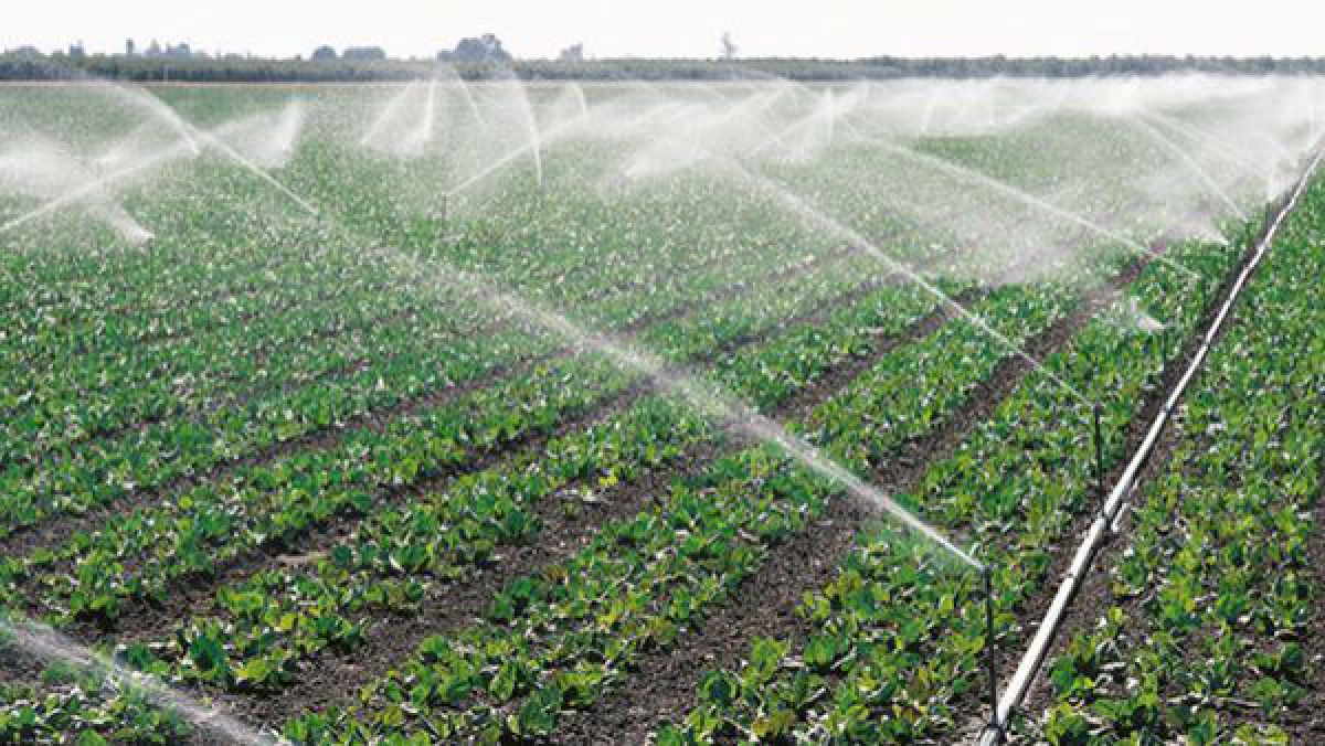  DOC/ Ministerul Agriculturii anunță consultări la regulamentul privind irigarea cu apă din subteran
