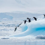 Rusia: Recorduri de temperatură „extraordinare” în Arctica