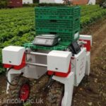 Fermierii britanici testează roboţi care să culeagă fructe din cauza lipsei de mână de lucru