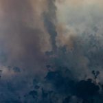 Incendiile ilegale „devorează” din nou Pădurea Amazoniană, în ciuda unei interdicții privind arderea terenurilor