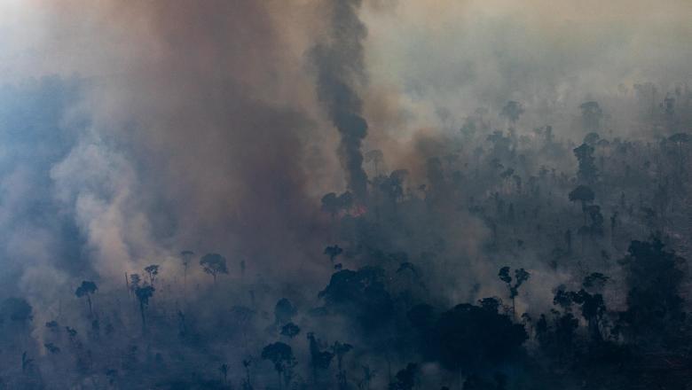  Incendiile ilegale „devorează” din nou Pădurea Amazoniană, în ciuda unei interdicții privind arderea terenurilor