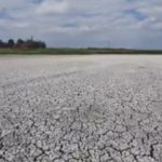 România: Un lac de peste 850 de hectare, aflat în Rezervaţia Biosferei Delta Dunării, a secat