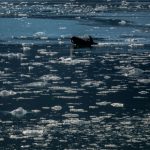 Fenomen fără precedent. Căldura-record din Siberia întârzie formarea gheții în zona arctică