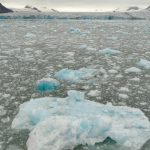 Regiunea Arctică arată de nerecunoscut – mai verde, mai caldă și mai lipsită de gheață