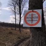 Moldsilva a interzis să se filmeze tăierea copacilor din păduri în absența silvicultorilor. Explicațiile agenției