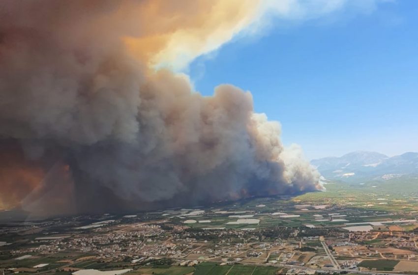  Criză climatică. Incendiile de vara aceasta au generat un nivel record al emisiilor de carbon