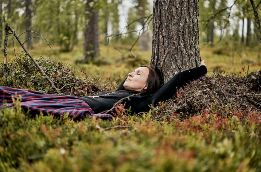 În Laponia a fost dat start Campionatului  de Îmbrățișări a Arborilor