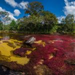 FOTO: Imagini spectaculoase cu „Râul celor 5 culori”