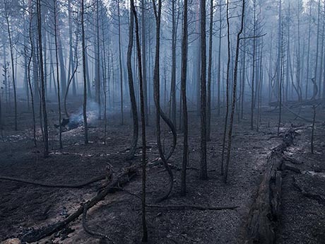  Unul din autorii incendiilor forestiere din Iacutia a fost găsit