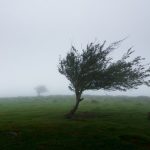 Meteorologii anunță Cod galben de vânt puternic