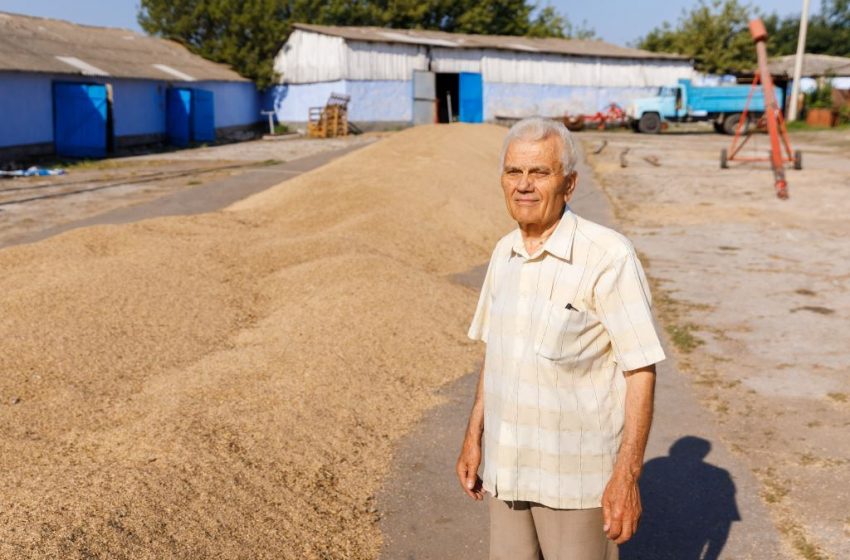  La 82 ani, Nicolae Micu este ambasador al agriculturii organice