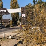 FOTO/ Mai mulți arbori au fost tăiați la Cricova. Primele constatări ale Inspectoratului  pentru Protecția Mediului