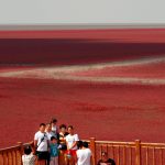 FOTO/ Plaja Roșie, unul dintre cele mai pitorești locuri de pe Pământ. Fenomenul unic în urma căruia s-a format