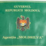 Concursul fotoliul de șef al Moldsilva. Patru candidați sunt așteptați la interviu