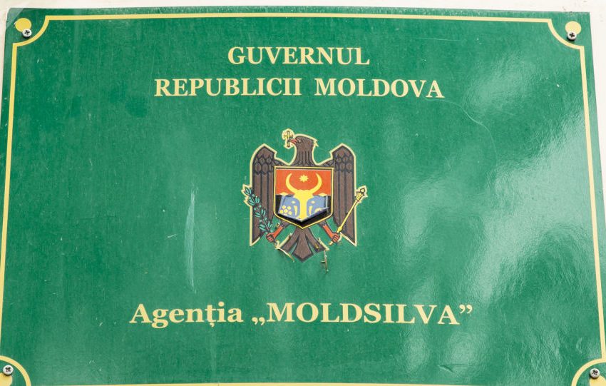  Ministerul Mediului a lansat un nou concurs pentru funcția de director al „Moldsilva”