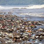 INFOGRAFIC/ Zece cei mai mari poluatori cu plastic din lume. Coca-Cola, prima în top al patrulea an la rând