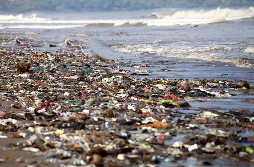  INFOGRAFIC/ Zece cei mai mari poluatori cu plastic din lume. Coca-Cola, prima în top al patrulea an la rând