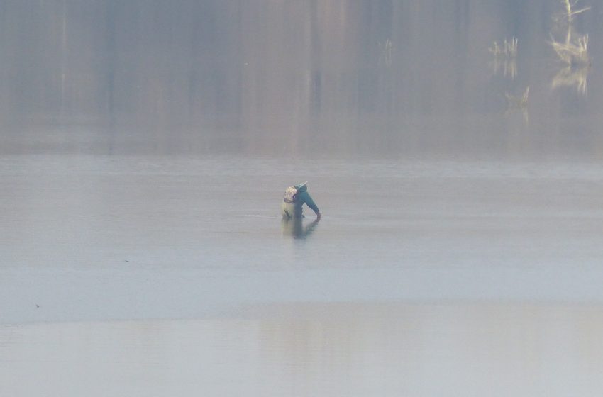  VIDEO/ Ziua în amiaza mare. Un braconier, surprins cum își verifică plasele instalate ilegal într-un lac