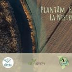 Plantăm fapte bune la Nistrul de Jos: Se vor sădi copaci pe un segment de 10 hectare