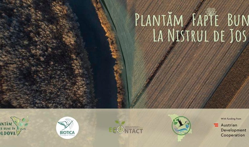  Plantăm fapte bune la Nistrul de Jos: Se vor sădi copaci pe un segment de 10 hectare