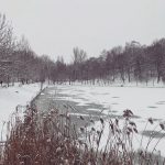 FOTO/ Poveste de iarnă în Moldova.  Fotografiile distribuite pe rețelele sociale