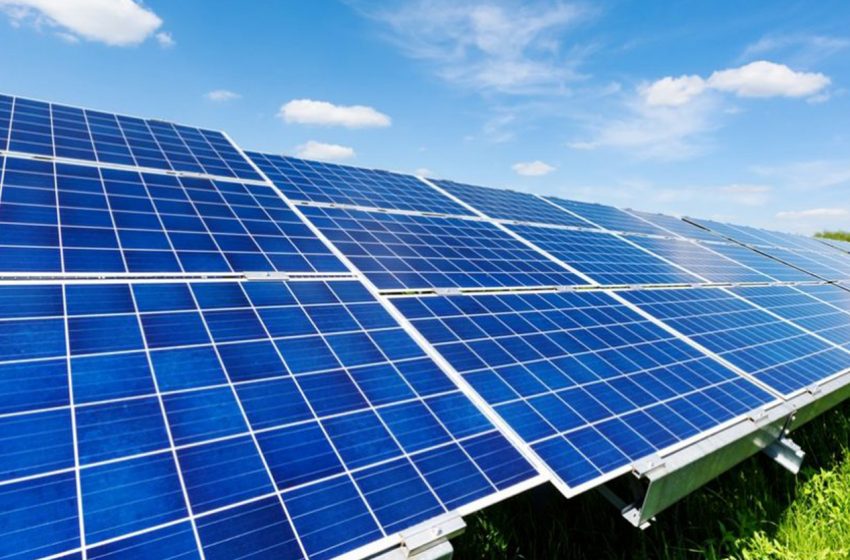  Producătorii agricoli pot achiziţiona panouri fotovoltaice la jumătate de preț