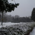 FOTO/ Grădina Botanică din Chișinău, în imagini spectaculoase de iarnă
