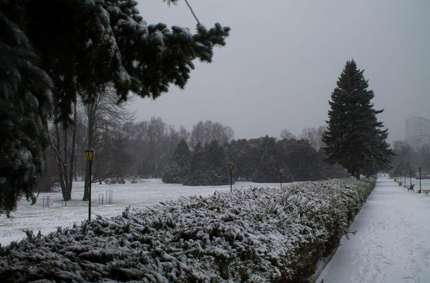  FOTO/ Grădina Botanică din Chișinău, în imagini spectaculoase de iarnă